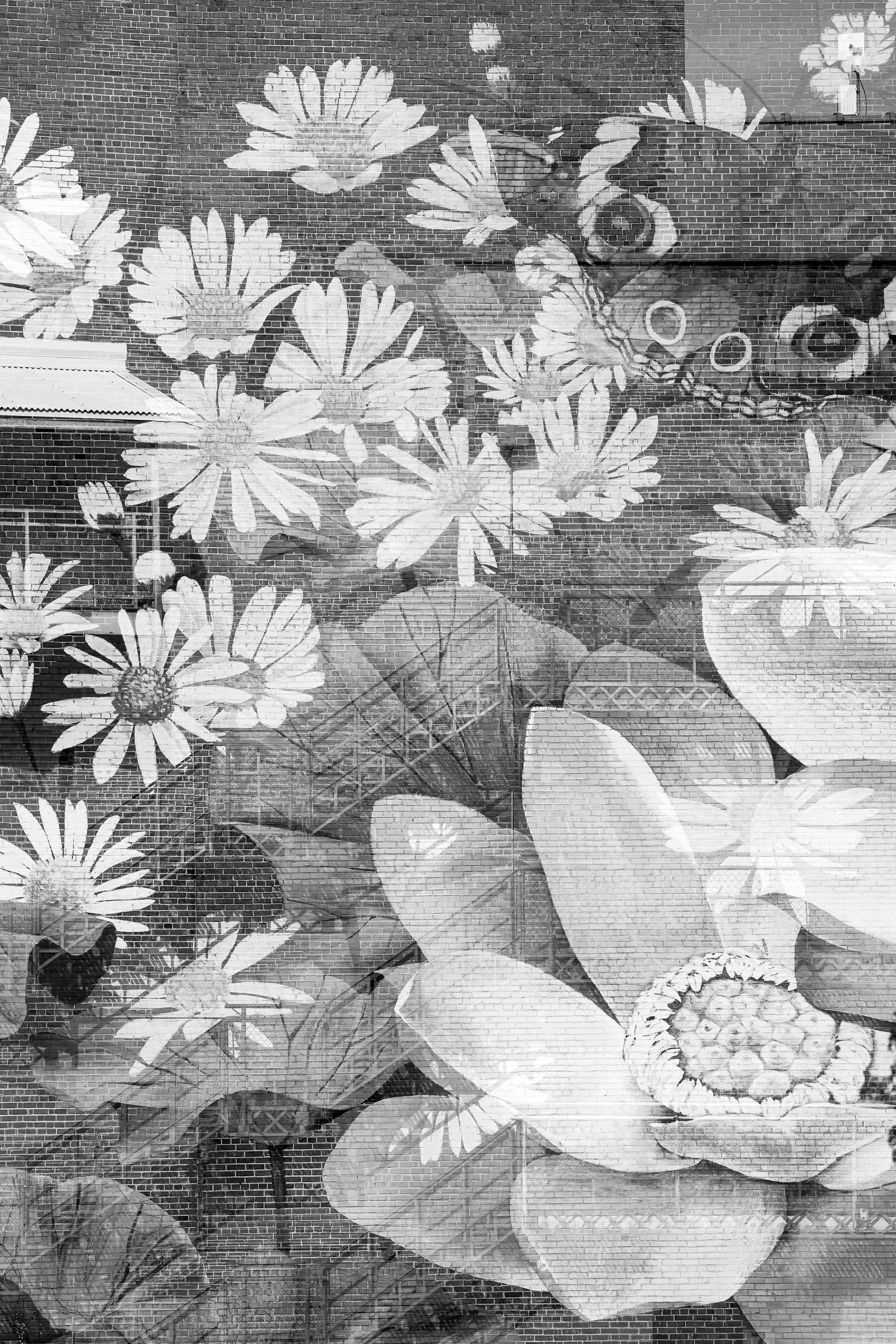 Multiple Exposure 9